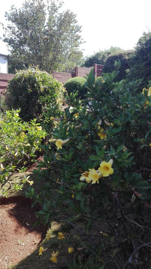 Hamba Kancane Ma-Africa Guest House Graskop Eksteriør billede